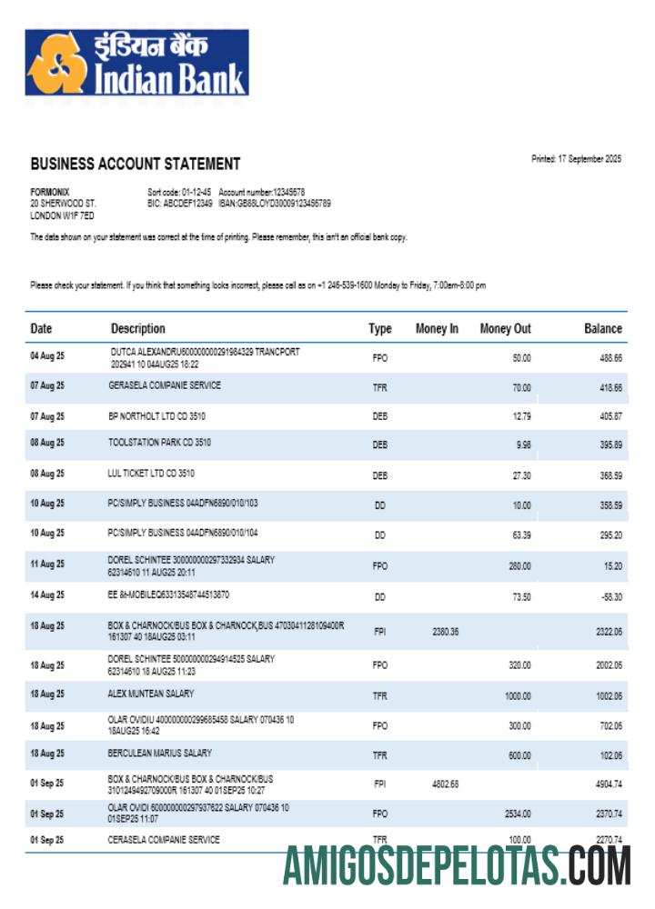 Realista Bank Of Indian Organization Extrato de conta corrente modelo Word e PDF